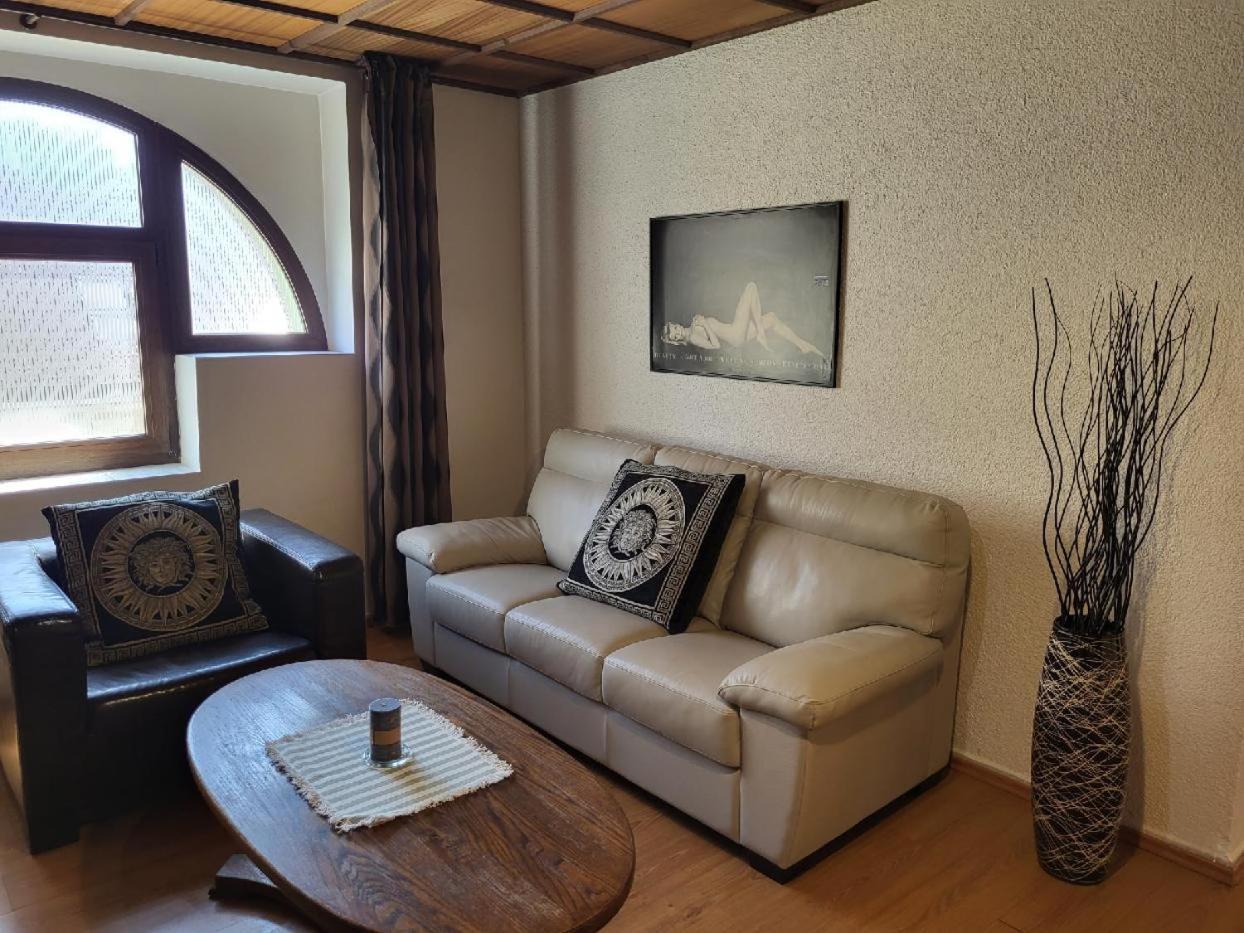 Sunflower And Apartment Prag